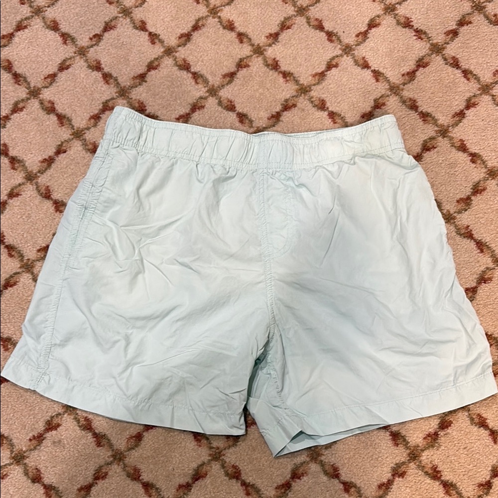 Onia Men's Mint Nylon Crinkle Swim Shorts